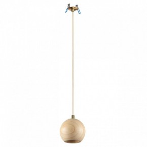 Подвесной светильник Odeon Light Caucho 7061/1 в Тюмени - tumen.ok-mebel.com | фото 5