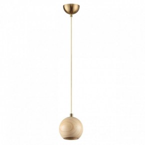 Подвесной светильник Odeon Light Caucho 7061/1 в Тюмени - tumen.ok-mebel.com | фото 6