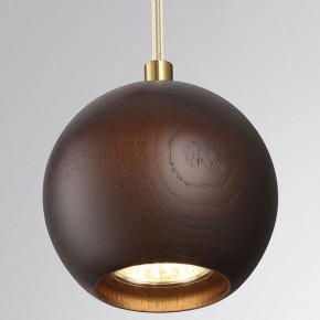 Подвесной светильник Odeon Light Caucho 7062/1 в Тюмени - tumen.ok-mebel.com | фото
