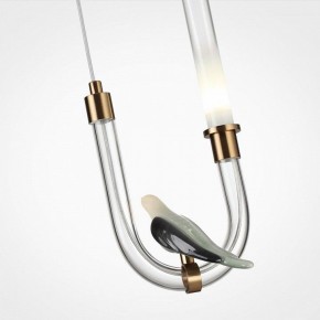 Подвесной светильник Odeon Light Lark 5431/2L в Тюмени - tumen.ok-mebel.com | фото 6