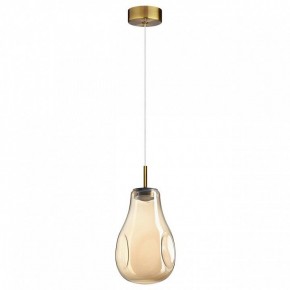 Подвесной светильник Odeon Light Nave 5098/4L в Тюмени - tumen.ok-mebel.com | фото 4