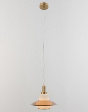 Подвесной светильник Rivoli Camille Б0061901 в Тюмени - tumen.ok-mebel.com | фото 4