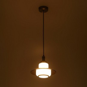 Подвесной светильник Rivoli Camille Б0061901 в Тюмени - tumen.ok-mebel.com | фото 6