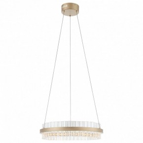 Подвесной светильник ST-Luce Cherio SL383.203.01 в Тюмени - tumen.ok-mebel.com | фото 3