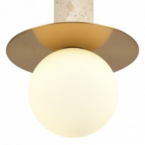 Подвесной светильник ST-Luce Earthy SL1194.303.01 в Тюмени - tumen.ok-mebel.com | фото 5