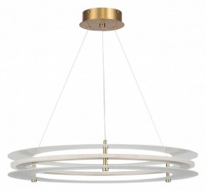 Подвесной светильник ST-Luce FAGY SL6245.203.01 в Тюмени - tumen.ok-mebel.com | фото 3