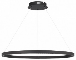 Подвесной светильник ST-Luce PARILLA SL6238.443.01 в Тюмени - tumen.ok-mebel.com | фото 3