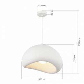 Подвесной светильник ST-Luce WABI SABI SL1522.513.01 в Тюмени - tumen.ok-mebel.com | фото 5