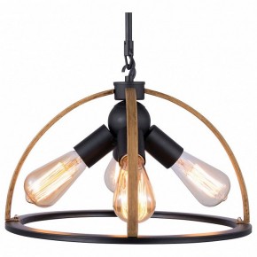 Подвесной светильник TopLight Jasmin TL1179H-04BK в Тюмени - tumen.ok-mebel.com | фото