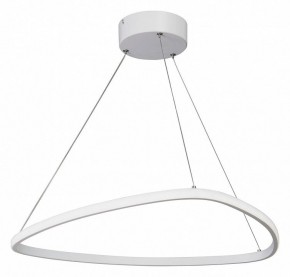 Подвесной светильник Vitaluce V04624 V04624-03/1S в Тюмени - tumen.ok-mebel.com | фото 2