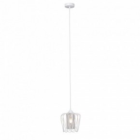 Подвесной светильник Vitaluce V2843 V2843-0/1S в Тюмени - tumen.ok-mebel.com | фото 4