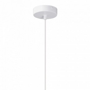 Подвесной светильник Vitaluce V2848 V2848-0/1S в Тюмени - tumen.ok-mebel.com | фото 6