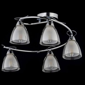 Потолочная люстра Arti Lampadari Paola, Tavenna Nickel Paola E 1.1.5 N в Тюмени - tumen.ok-mebel.com | фото 2