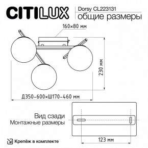 Потолочная люстра Citilux Dorsy CL223131 в Тюмени - tumen.ok-mebel.com | фото 11