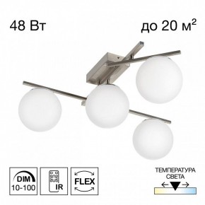 Потолочная люстра Citilux Dorsy CL223141 в Тюмени - tumen.ok-mebel.com | фото 2