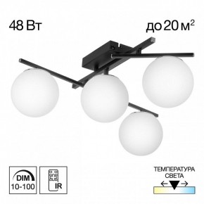 Потолочная люстра Citilux Dorsy CL223142 в Тюмени - tumen.ok-mebel.com | фото 9