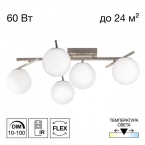 Потолочная люстра Citilux Dorsy CL223151 в Тюмени - tumen.ok-mebel.com | фото 2