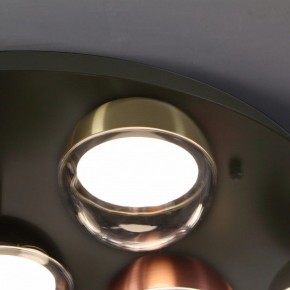 Потолочная люстра Favourite Luna 4371-12C в Тюмени - tumen.ok-mebel.com | фото 2