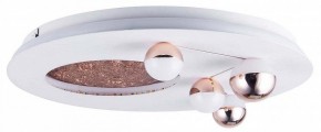 Потолочная люстра Favourite Plaides 4630-4C в Тюмени - tumen.ok-mebel.com | фото 3