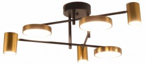 Потолочная люстра Kink Light Рапис 07645-6D,19(20) в Тюмени - tumen.ok-mebel.com | фото
