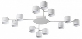 Потолочная люстра Lumion Gareta 8235/12C в Тюмени - tumen.ok-mebel.com | фото