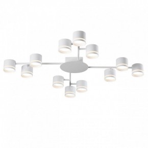 Потолочная люстра Lumion Gareta 8235/12C в Тюмени - tumen.ok-mebel.com | фото 2