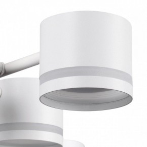 Потолочная люстра Lumion Gareta 8235/12C в Тюмени - tumen.ok-mebel.com | фото 7