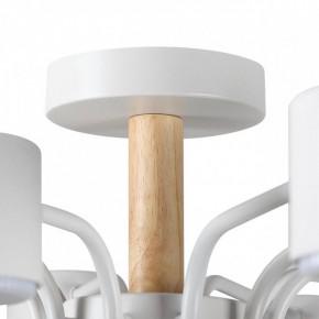 Потолочная люстра Lumion Rondo 8196/10C в Тюмени - tumen.ok-mebel.com | фото 8