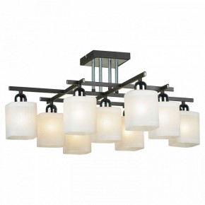 Потолочная люстра Lussole Costanzo LSL-9007-09 в Тюмени - tumen.ok-mebel.com | фото 2