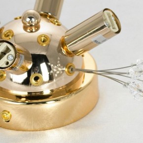 Потолочная люстра Lussole Davie LSP-8781 в Тюмени - tumen.ok-mebel.com | фото 4
