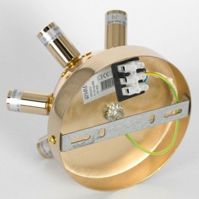 Потолочная люстра Lussole Davie LSP-8782 в Тюмени - tumen.ok-mebel.com | фото 4