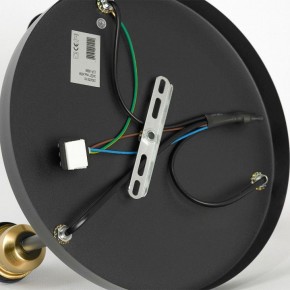 Потолочная люстра Lussole Mitchel LSP-8996 в Тюмени - tumen.ok-mebel.com | фото 5