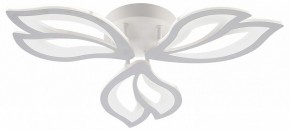 Потолочная люстра Natali Kovaltseva FORTUNA LED LAMPS 81107/2C в Тюмени - tumen.ok-mebel.com | фото
