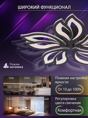 Потолочная люстра Natali Kovaltseva FORTUNA LED LAMPS 81107/5C в Тюмени - tumen.ok-mebel.com | фото 6