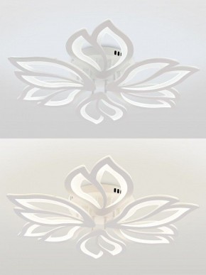 Потолочная люстра Natali Kovaltseva FORTUNA LED LAMPS 81107/6C в Тюмени - tumen.ok-mebel.com | фото 4