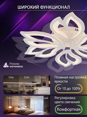 Потолочная люстра Natali Kovaltseva FORTUNA LED LAMPS 81107/6C в Тюмени - tumen.ok-mebel.com | фото 6