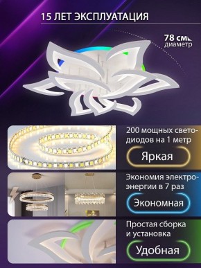 Потолочная люстра Natali Kovaltseva OLIMP LED LAMPS 81435 в Тюмени - tumen.ok-mebel.com | фото 5