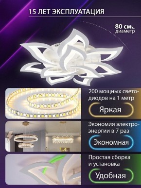 Потолочная люстра Natali Kovaltseva OLIMP LED SMART 84005 в Тюмени - tumen.ok-mebel.com | фото 5