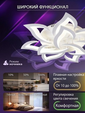 Потолочная люстра Natali Kovaltseva OLIMP LED SMART 84005 в Тюмени - tumen.ok-mebel.com | фото 6