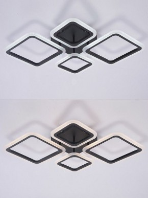 Потолочная люстра Natali Kovaltseva OPTI LED LAMPS 81108/2C в Тюмени - tumen.ok-mebel.com | фото 4