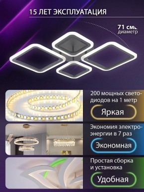 Потолочная люстра Natali Kovaltseva OPTI LED LAMPS 81108/2C в Тюмени - tumen.ok-mebel.com | фото 5