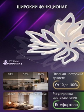 Потолочная люстра Natali Kovaltseva RIF LED LAMPS 81118/5C в Тюмени - tumen.ok-mebel.com | фото 6