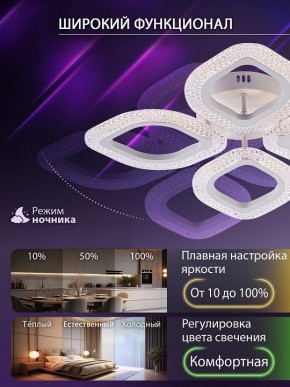 Потолочная люстра Natali Kovaltseva SM LED LAMPS 81455 в Тюмени - tumen.ok-mebel.com | фото 6