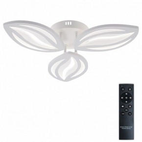 Потолочная люстра Natali Kovaltseva SM LED LAMPS 81456 в Тюмени - tumen.ok-mebel.com | фото 2