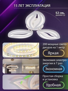 Потолочная люстра Natali Kovaltseva SM LED LAMPS 81456 в Тюмени - tumen.ok-mebel.com | фото 5