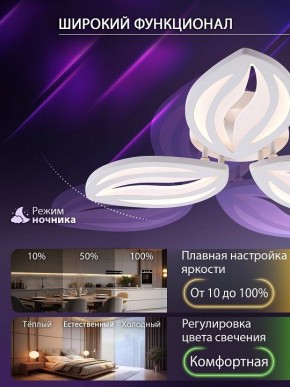 Потолочная люстра Natali Kovaltseva SM LED LAMPS 81456 в Тюмени - tumen.ok-mebel.com | фото 6