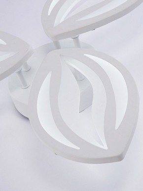 Потолочная люстра Natali Kovaltseva SM LED LAMPS 81456 в Тюмени - tumen.ok-mebel.com | фото 8
