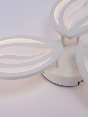 Потолочная люстра Natali Kovaltseva SM LED LAMPS 81456 в Тюмени - tumen.ok-mebel.com | фото 9