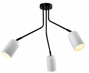 Потолочная люстра Rivoli Rosalinda Б0064987 в Тюмени - tumen.ok-mebel.com | фото 2