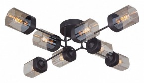 Потолочная люстра Vitaluce 4889 V4889-1/8PL в Тюмени - tumen.ok-mebel.com | фото